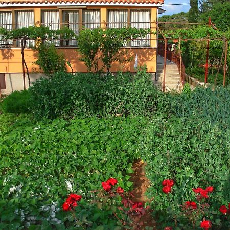 Apartments Sokolic Нерезине Экстерьер фото