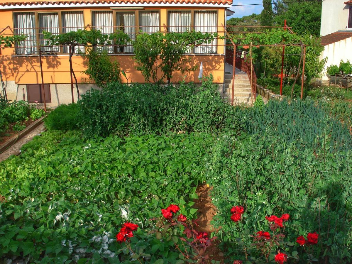 Apartments Sokolic Нерезине Экстерьер фото